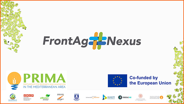 frontag-nexus-banner